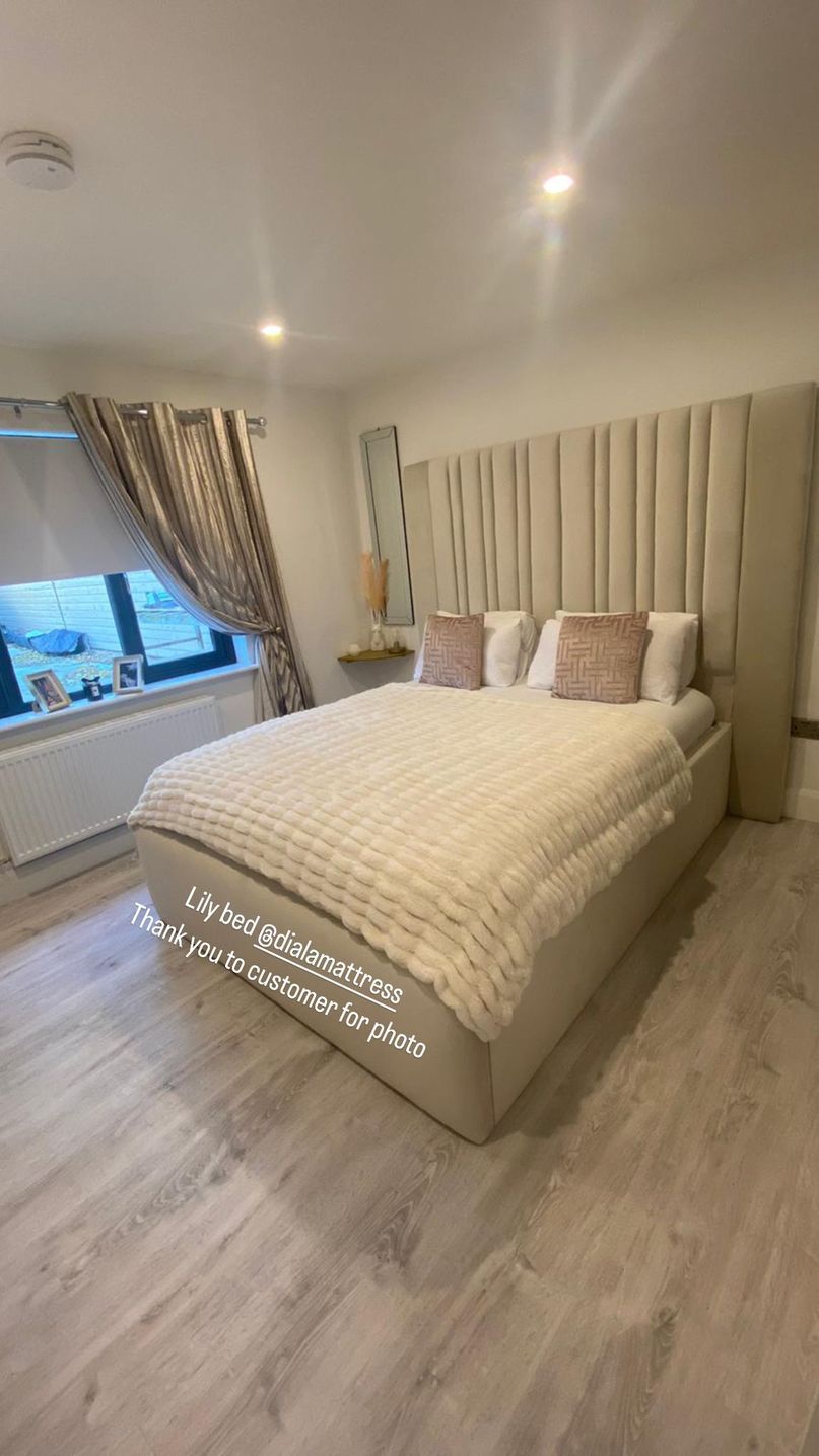 Lily Bed